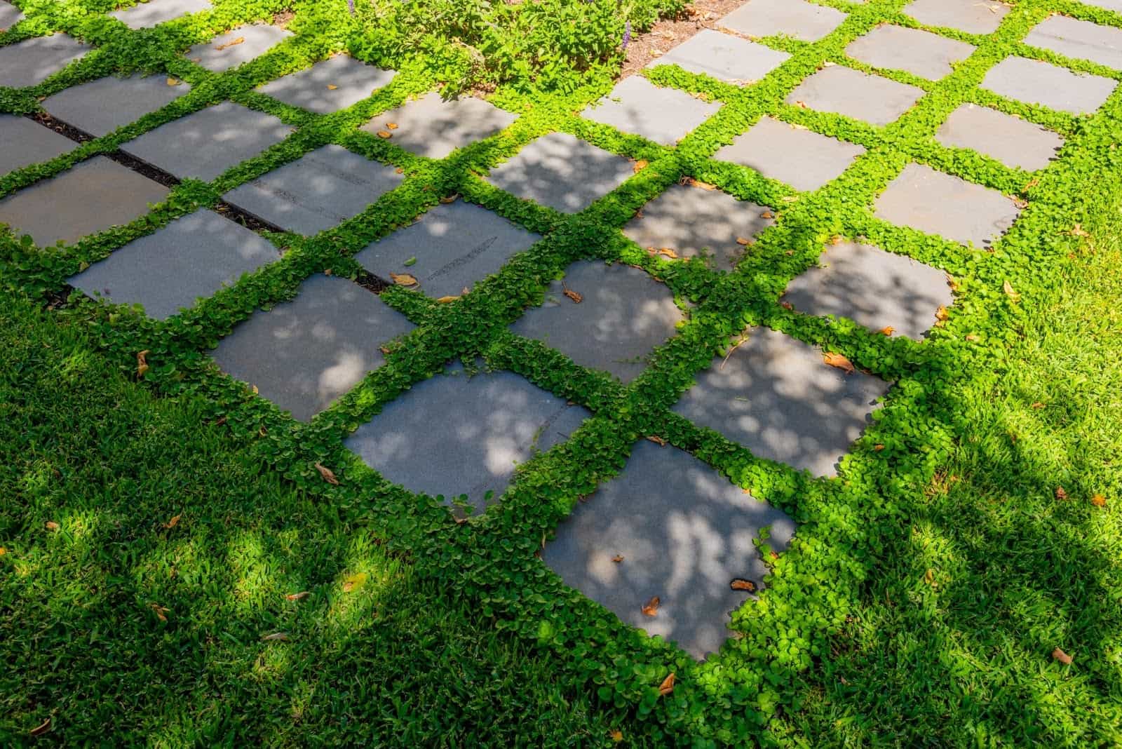 Complete backyard landscaping Melbourne