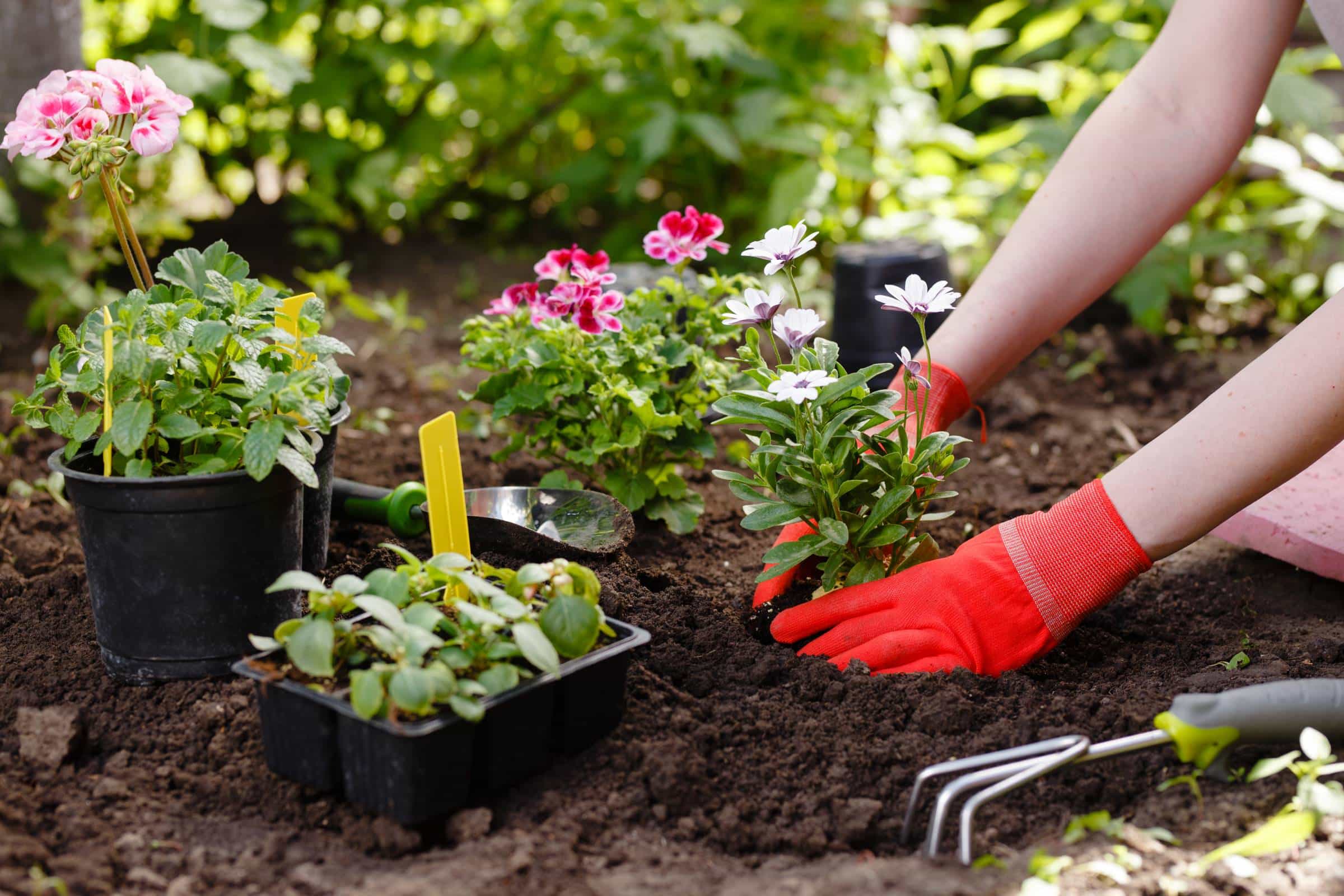 Garden maintenance Reservoir Melbourne