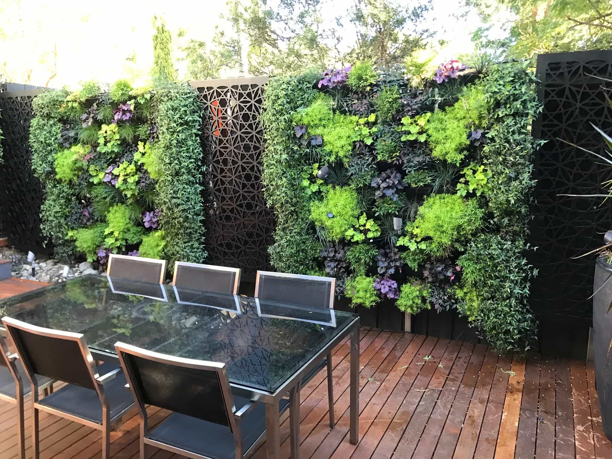 Hedge wall screening Melbourne