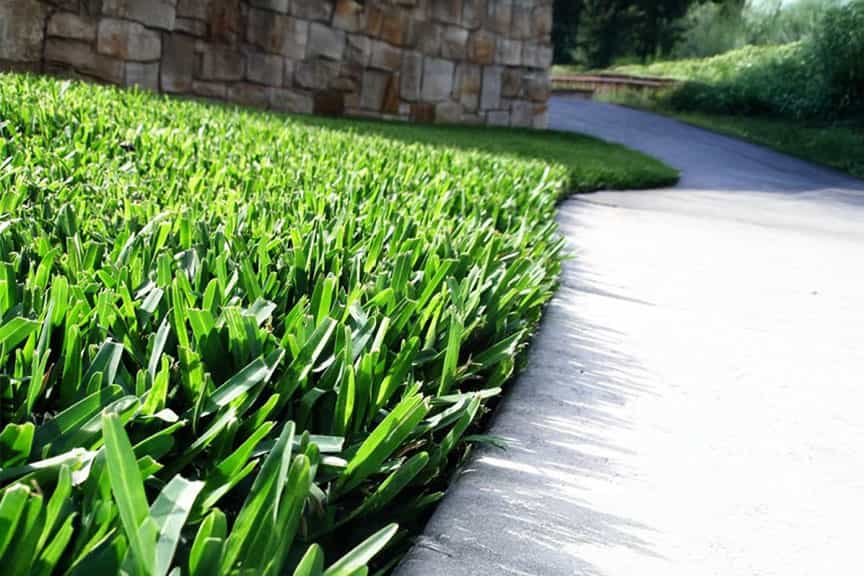 Lawn installation Melbourne