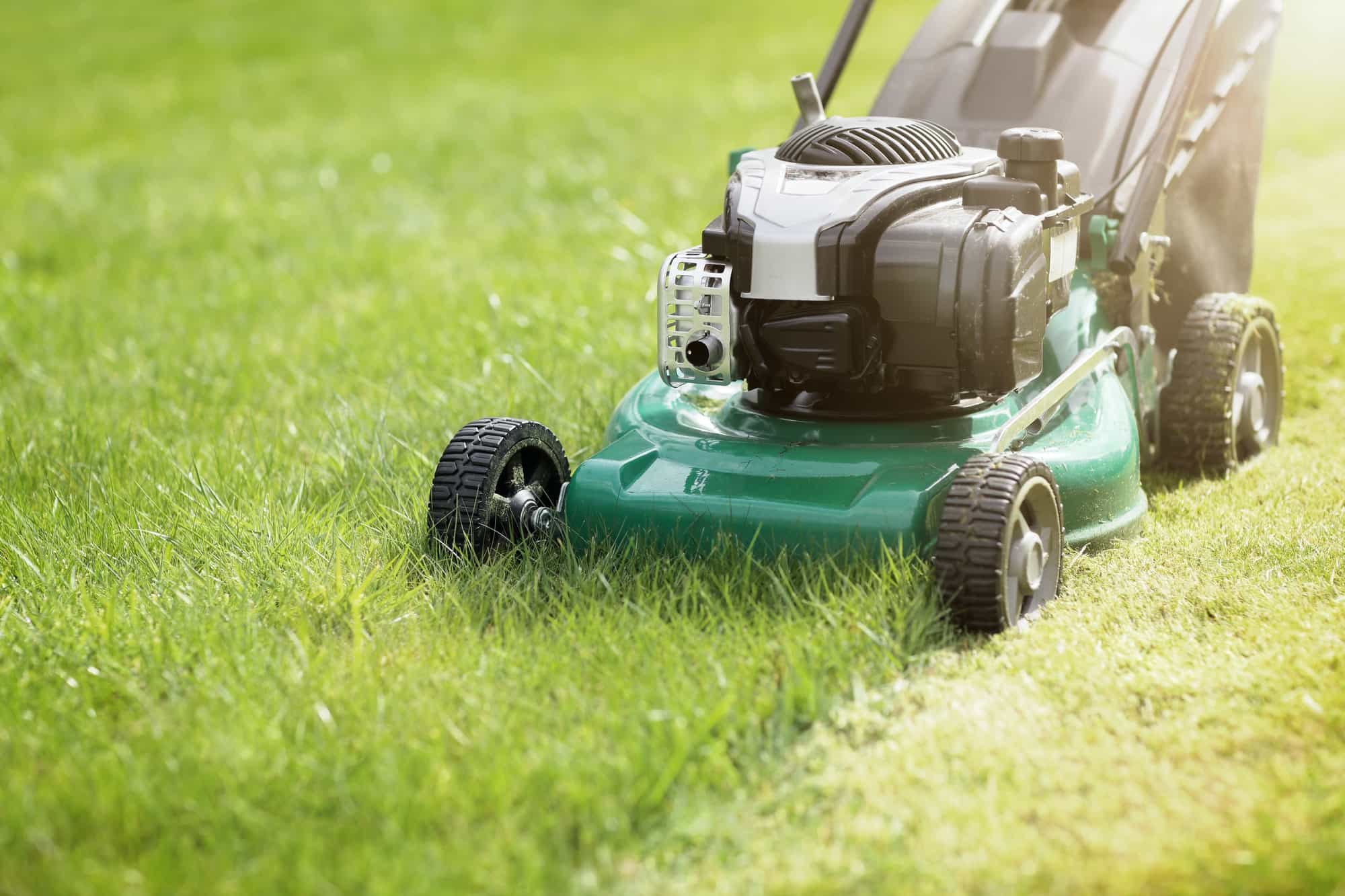 Professional lawn mowing service Melbourne residential garden