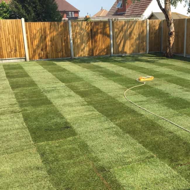 New lawn installation Toorak