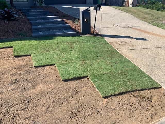 New turf installation South Yarra