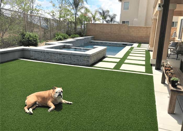 Pet friendly artificial turf Melbourne backyard
