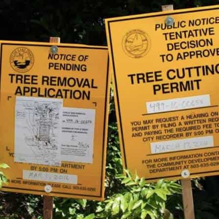 Do You Need a Permit to Remove a Tree in Melbourne's Northern Suburbs?