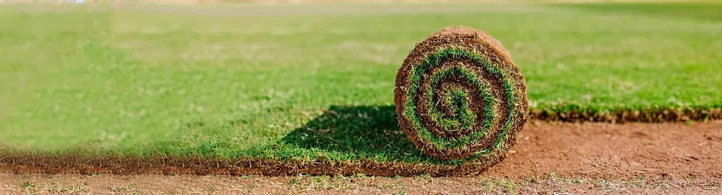 Turf installation Armadale natural grass lawn