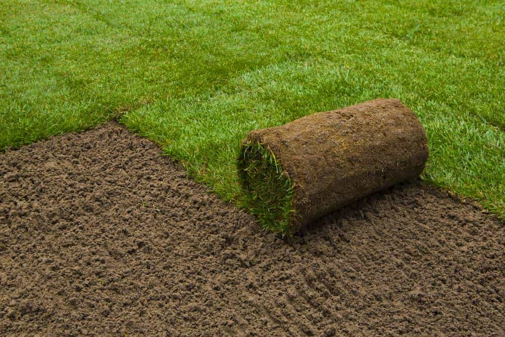 Turf installation