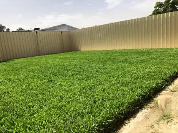 Turf laying Melbourne project