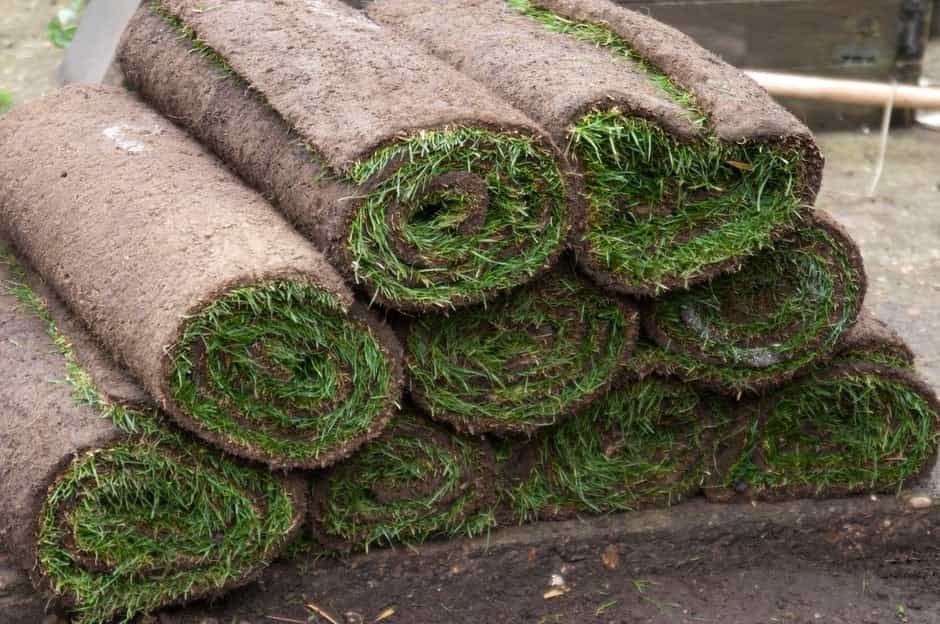 Turf laying Toorak lawn installation