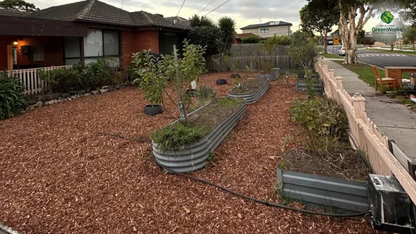 Best mulch for native plants: 5 smart picks for your garden