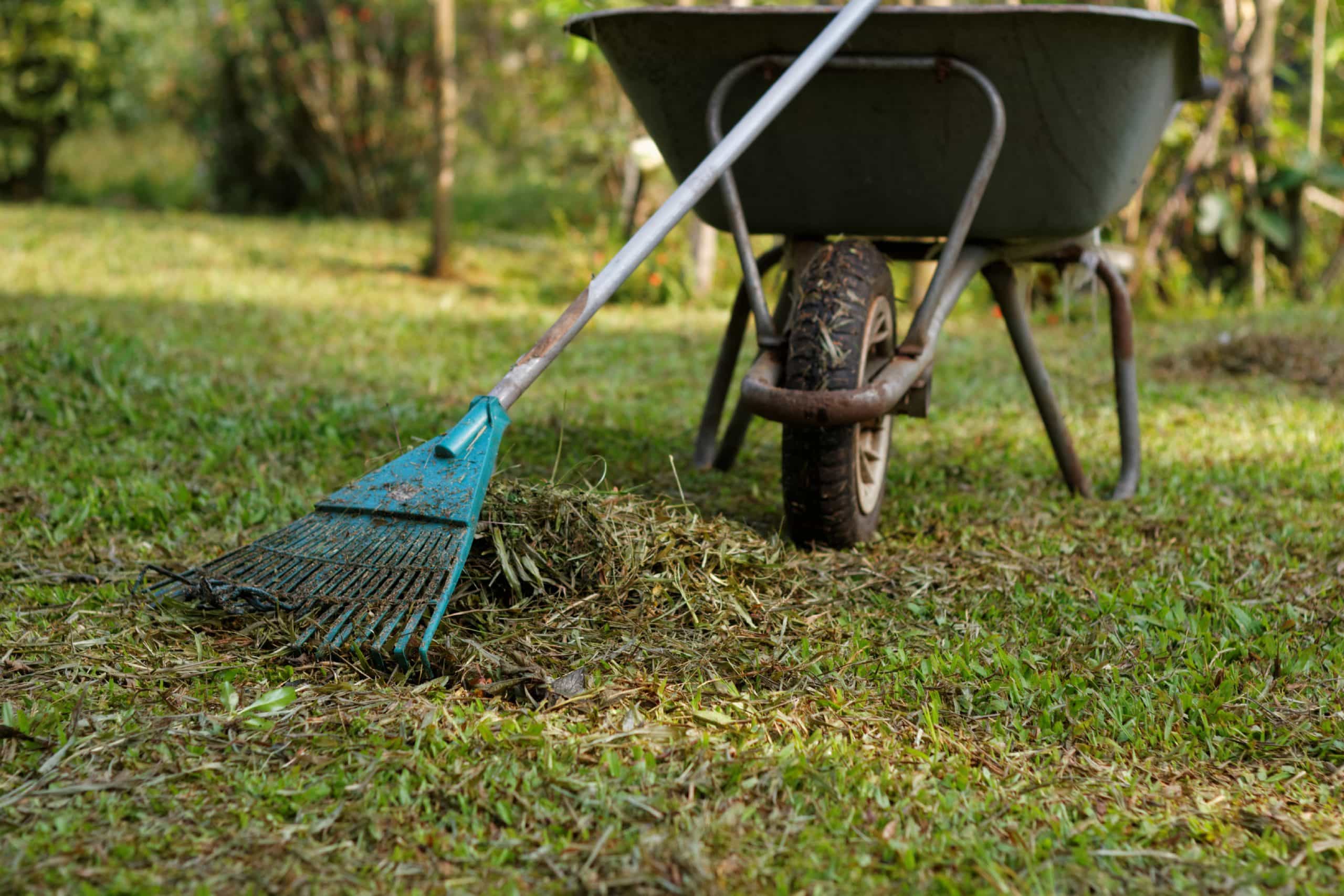 Scheduled grounds clean-up for a Melbourne facility