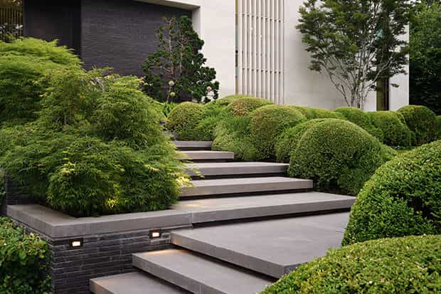 Hedge sculpting for a Toorak garden