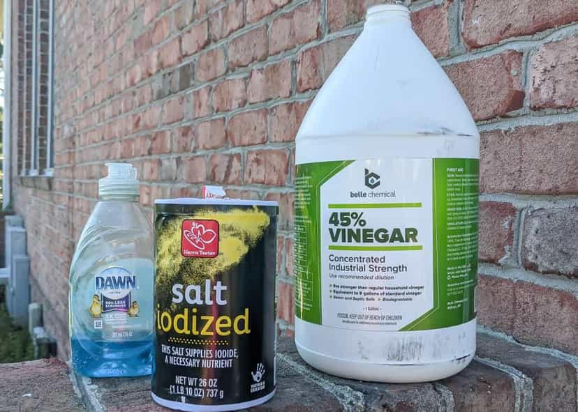 Homemade Weed Killer Recipes That Actually Work