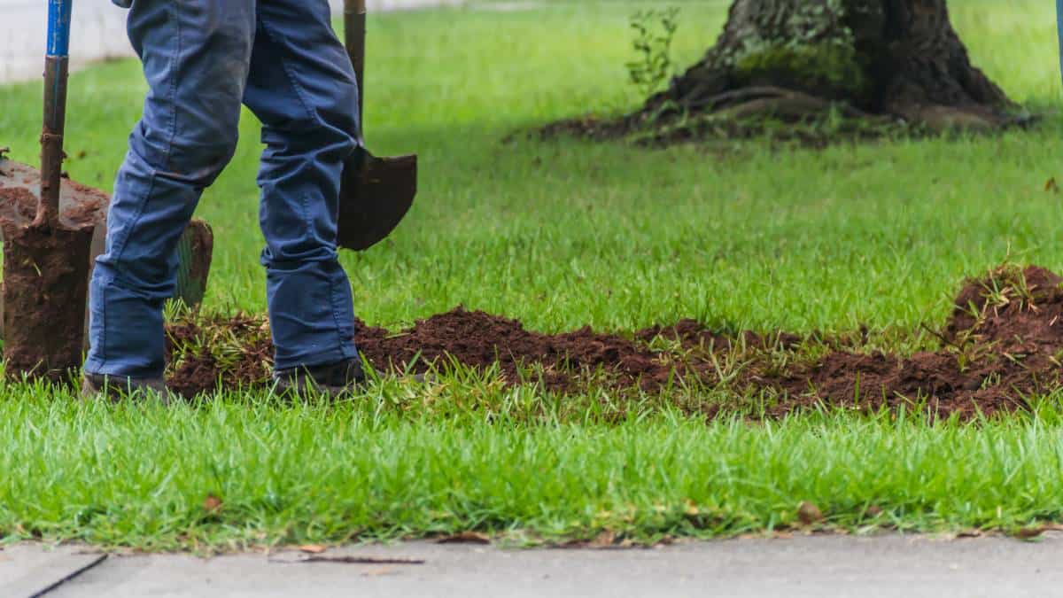 Professional lawn levelling services in Melbourne