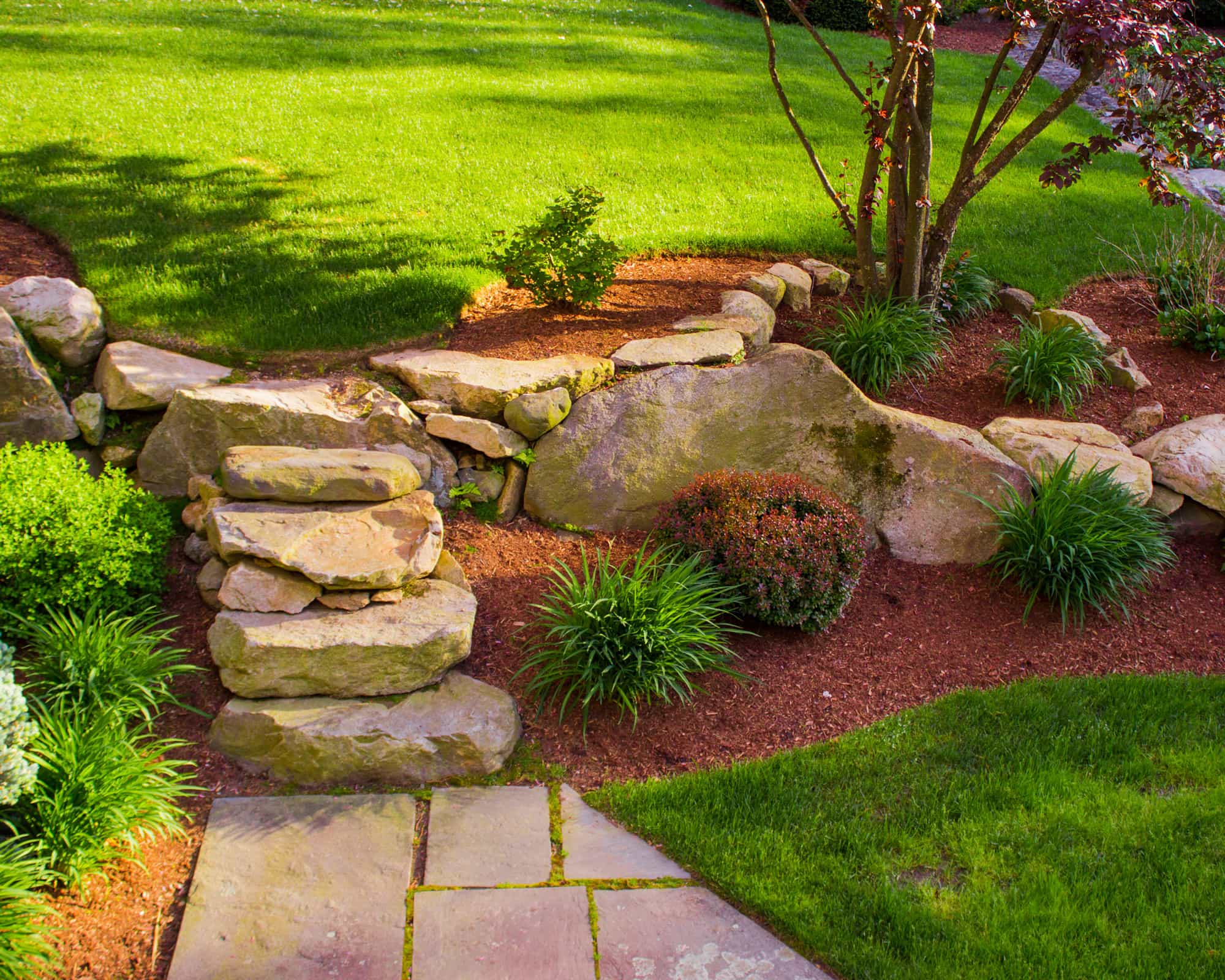 Luxury lawn care in Toorak