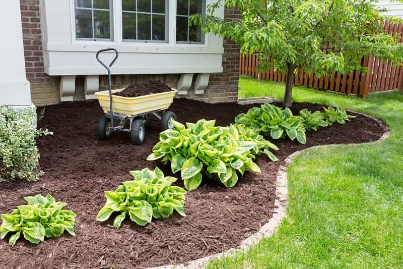 Garden mulching Melbourne