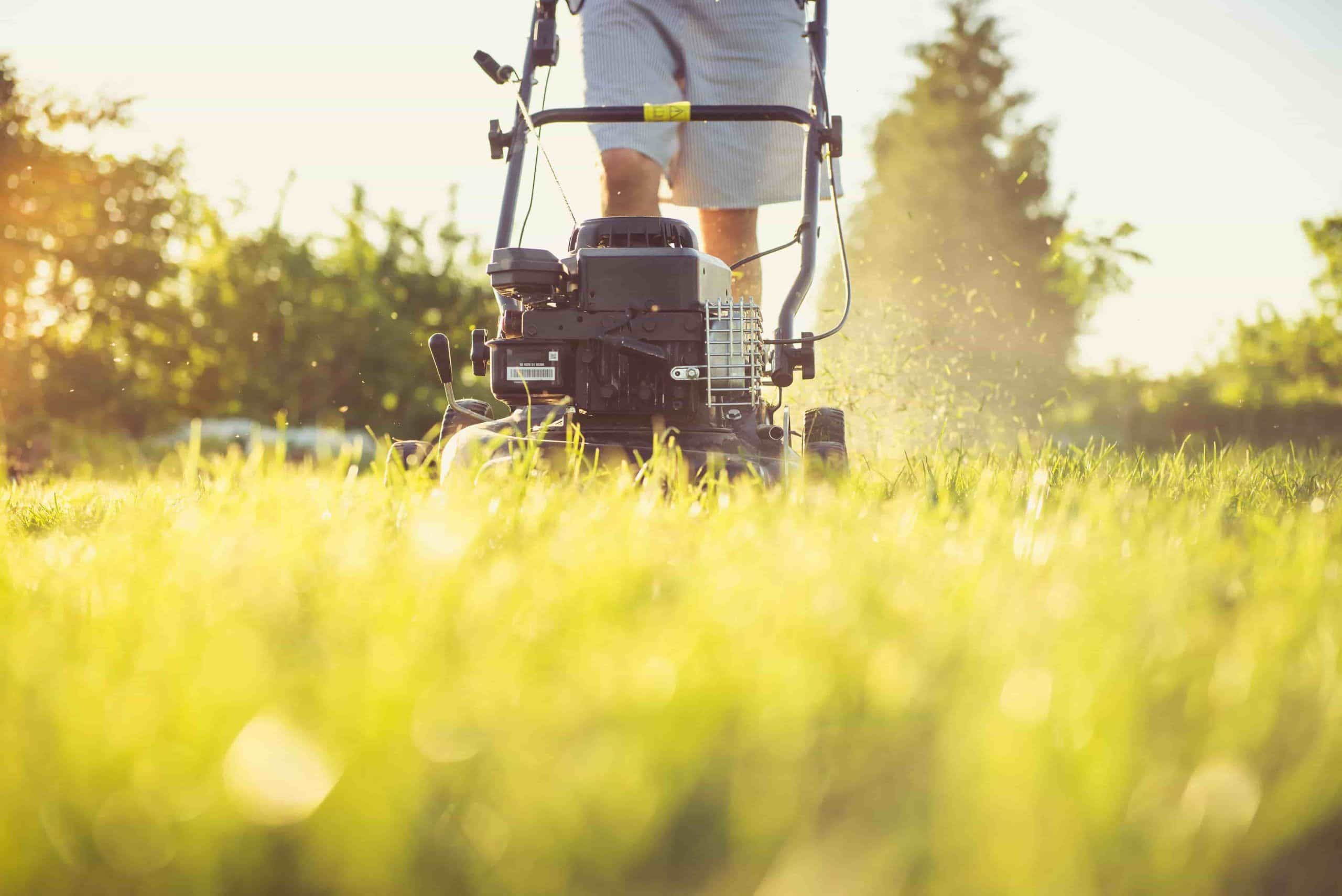 NDIS lawn mowing and garden maintenance Melbourne
