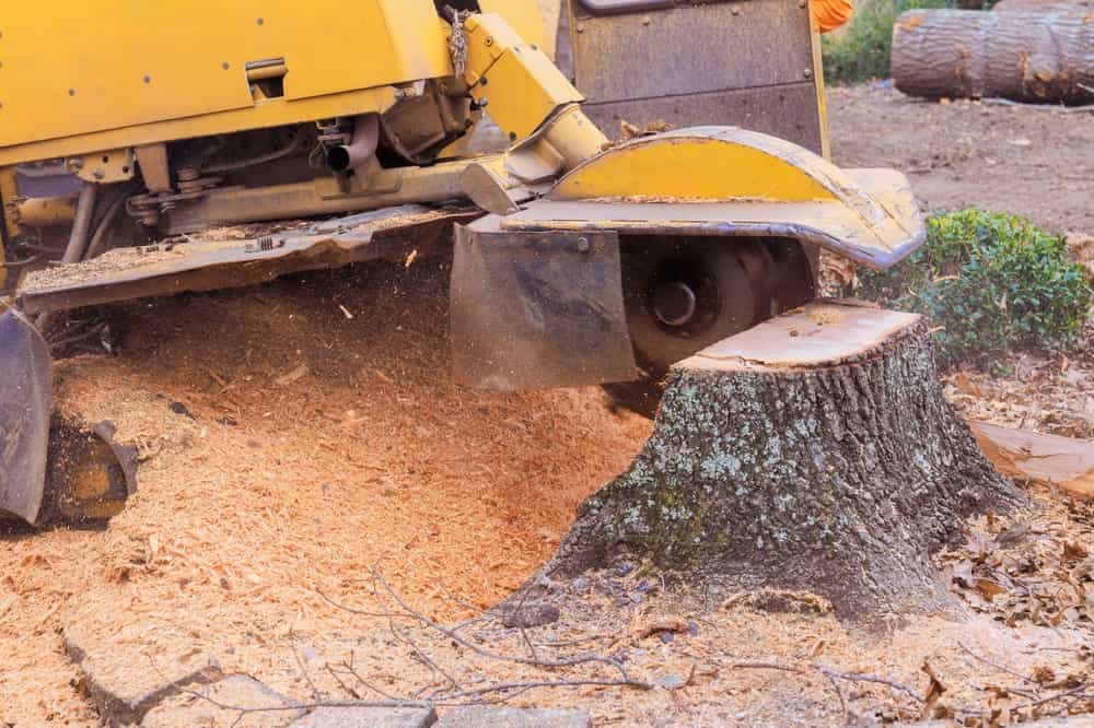 Stump grinding site clean-up northern suburbs Melbourne
