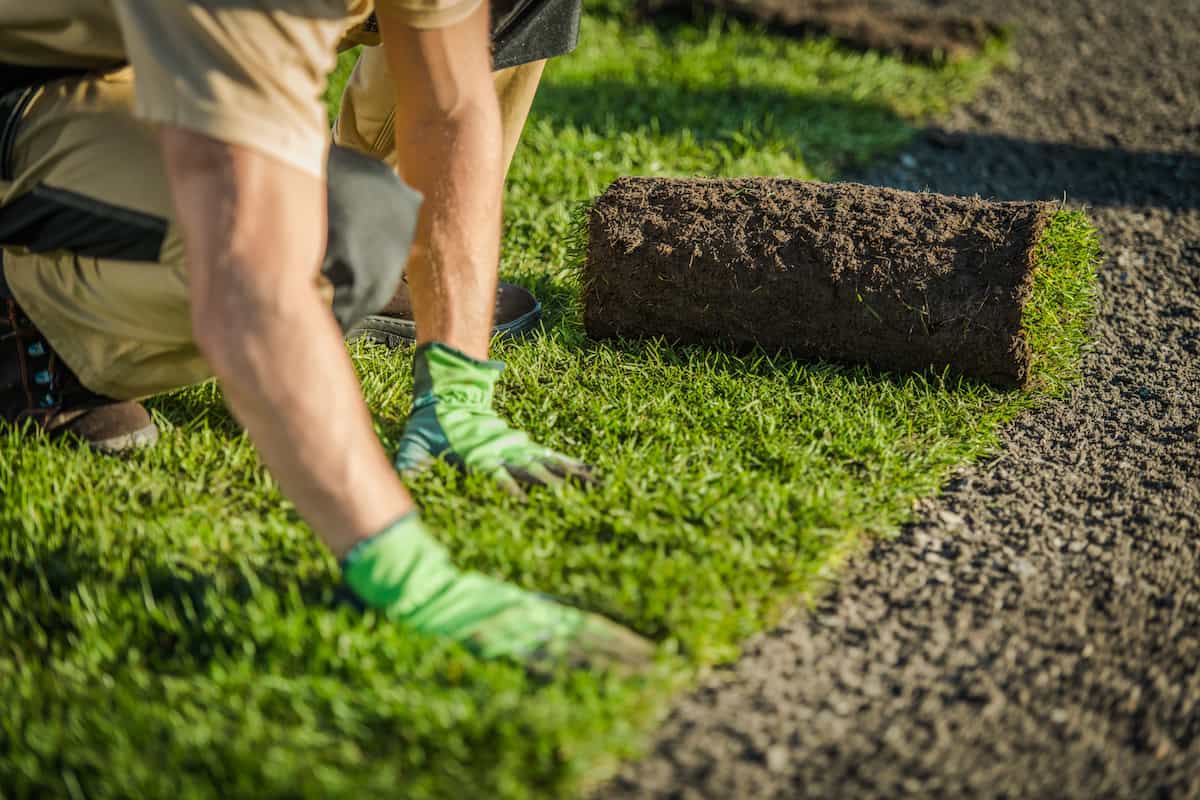 Turf installation South Yarra luxury lawn
