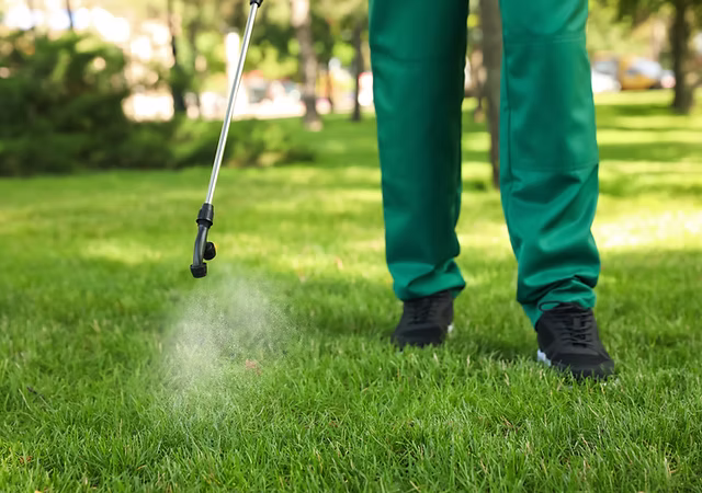 Weed control service Epping lawn and garden treatment