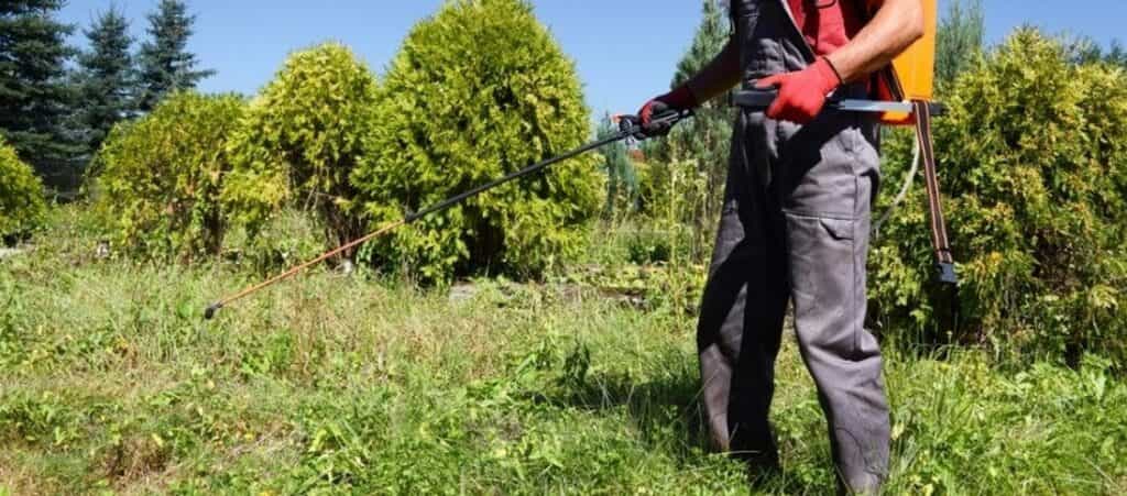 Weed control Northern suburbs Melbourne lawn and garden treatment